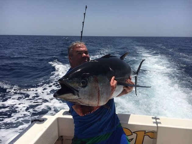 Big Eye Tuna Cavalier & Blue Marlin Sport Fishing Gran Canaria