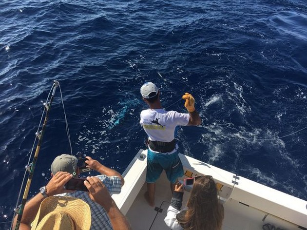 Hooked up Cavalier & Blue Marlin Sport Fishing Gran Canaria