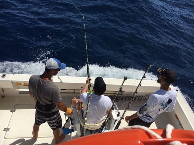 Hooked Up - Guiddon Mathieu hooked up with a 500 lb Blue Marlin Cavalier & Blue Marlin Sport Fishing Gran Canaria