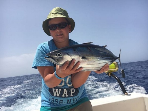 Skipjack Tuna Cavalier & Blue Marlin Sport Fishing Gran Canaria