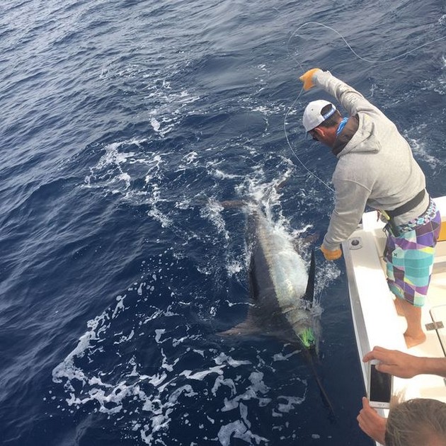 Blue Marlin Cavalier & Blue Marlin Sport Fishing Gran Canaria