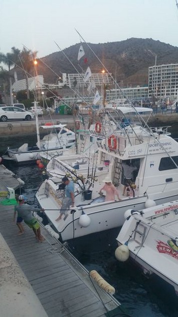 Flags in the top - Fiesta de Tuna Cavalier & Blue Marlin Sport Fishing Gran Canaria