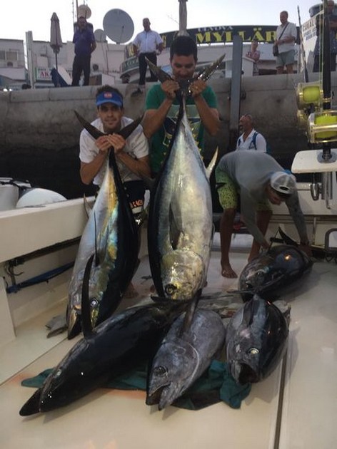 Big Eye Tuna Cavalier & Blue Marlin Sport Fishing Gran Canaria