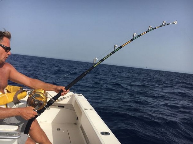 Hooked up Cavalier & Blue Marlin Sport Fishing Gran Canaria