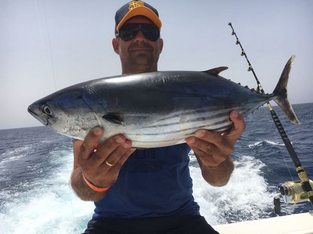 Skipjack Tuna Cavalier & Blue Marlin Sport Fishing Gran Canaria