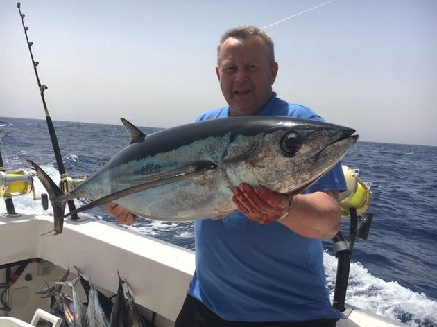 Skipjack Tuna Cavalier & Blue Marlin Sport Fishing Gran Canaria