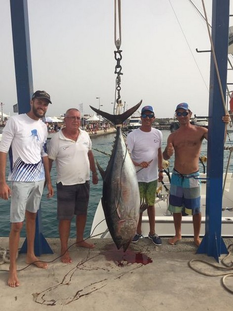 Update Pasito Blanco Tournement Cavalier & Blue Marlin Sport Fishing Gran Canaria