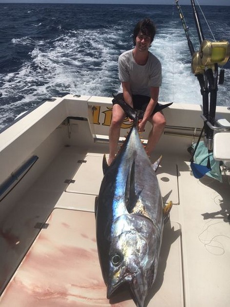 300 lb Big Eye tonfisk Cavalier & Blue Marlin Sport Fishing Gran Canaria