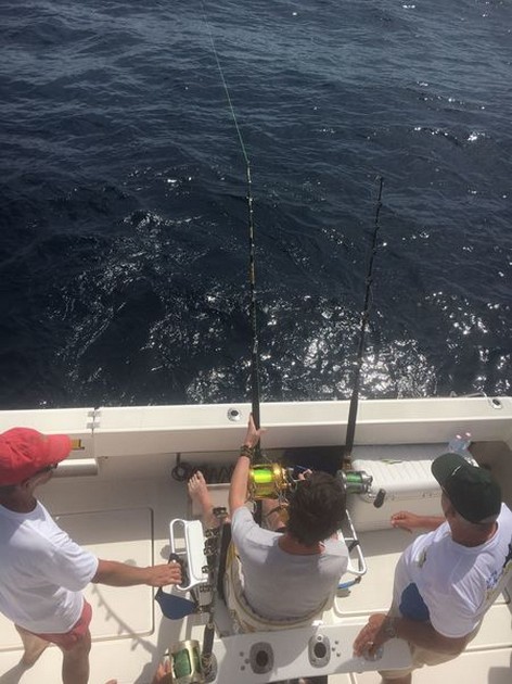 Hooked up - Hooked Up Cavalier & Blue Marlin Sport Fishing Gran Canaria