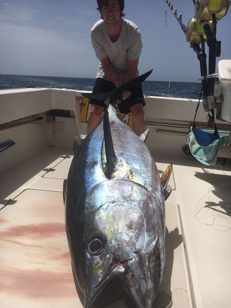 Woooow Cavalier & Blue Marlin Sport Fishing Gran Canaria