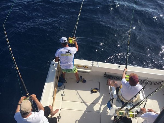 Hook up - A triple hook up Big Eye Tuna Cavalier & Blue Marlin Sport Fishing Gran Canaria