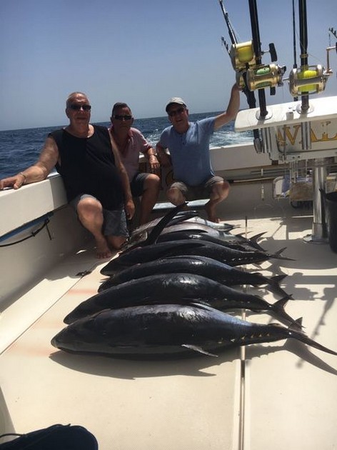 7 Albacores + Big Eye Cavalier & Blue Marlin Sport Fishing Gran Canaria