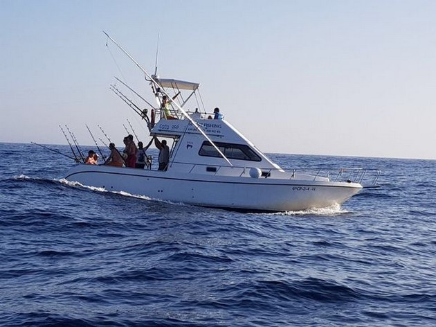 Cavalier Cavalier & Blue Marlin Sport Fishing Gran Canaria