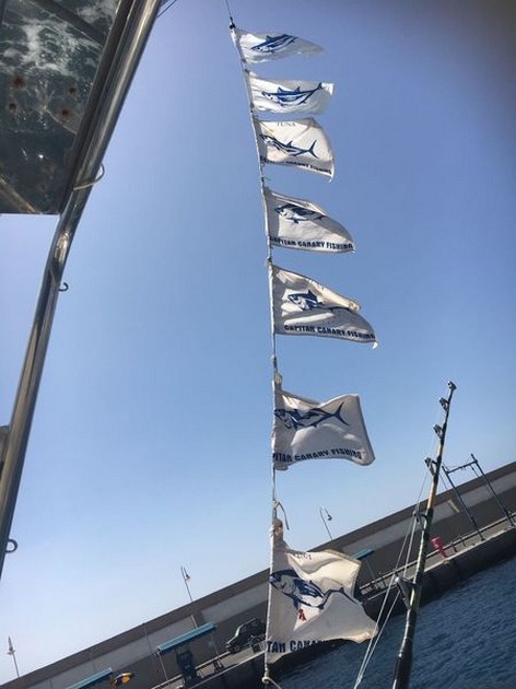 Woooow - Well done Cavalier & Blue Marlin Sport Fishing Gran Canaria