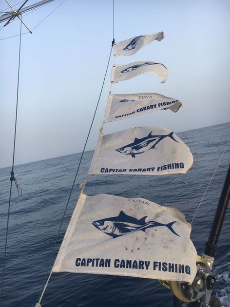 Congratulations Cavalier & Blue Marlin Sport Fishing Gran Canaria