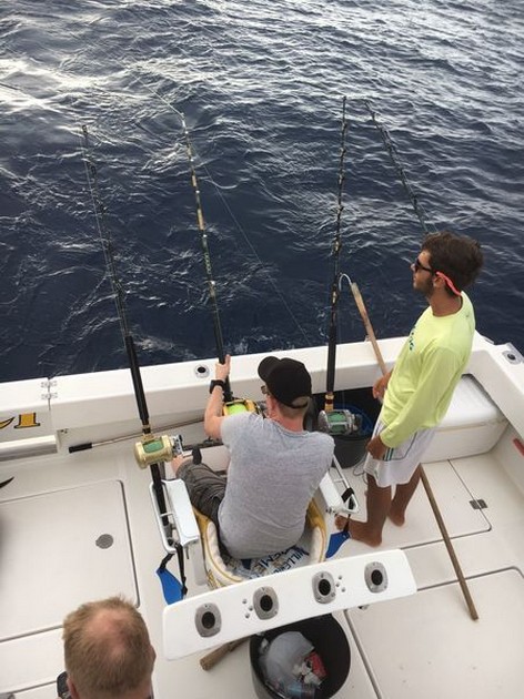 Hooked up Cavalier & Blue Marlin Sport Fishing Gran Canaria