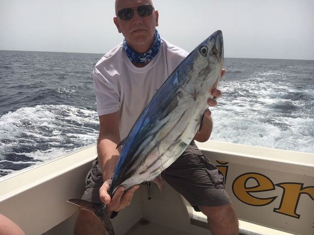 Skipjack Tuna Cavalier & Blue Marlin Sport Fishing Gran Canaria