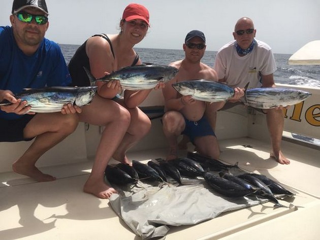 Skipjack Tuna Cavalier & Blue Marlin Sport Fishing Gran Canaria