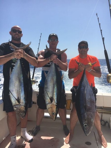  - Cavalier & Blue Marlin Sport Fishing Gran Canaria