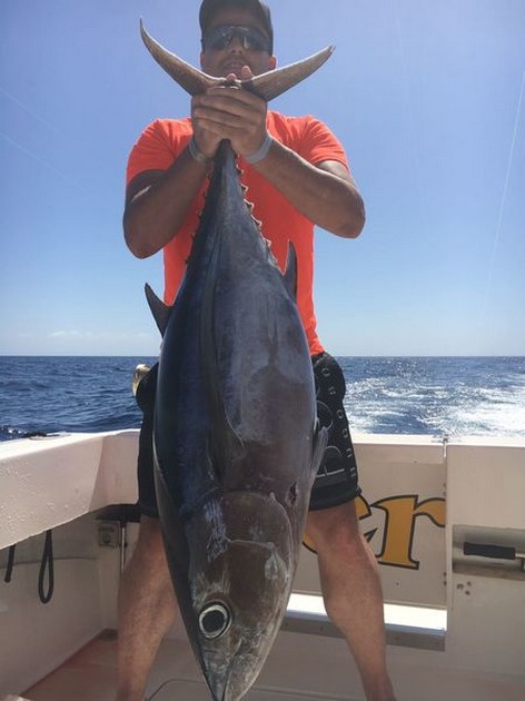 Albacore Tuna Cavalier & Blue Marlin Sport Fishing Gran Canaria