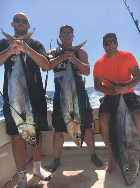 3 Albacores caucht by Mark & Phil Greaves +Mark mc Graughey Cavalier & Blue Marlin Sport Fishing Gran Canaria