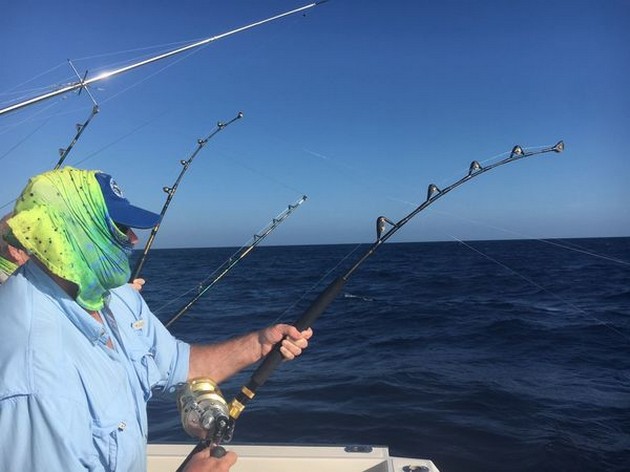 Hooked Up Cavalier & Blue Marlin Sport Fishing Gran Canaria