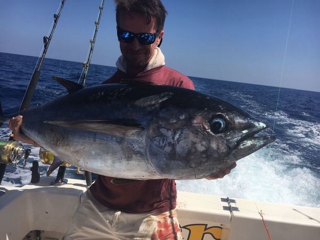 Big Eye Tuna Cavalier & Blue Marlin Sport Fishing Gran Canaria