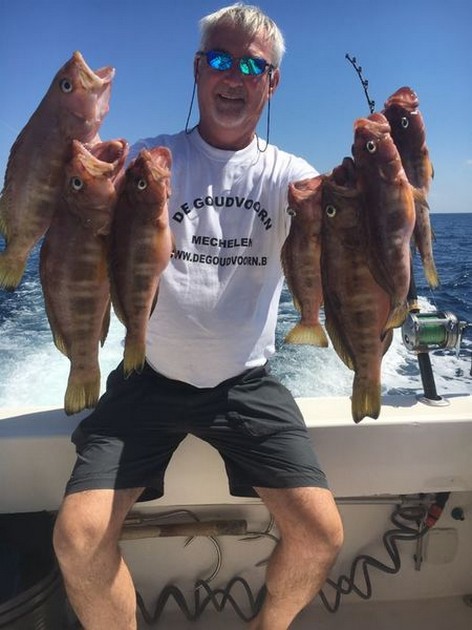 Comber - Willie with a great catch if comber fish Cavalier & Blue Marlin Sport Fishing Gran Canaria