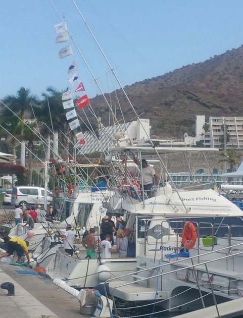  - Cavalier & Blue Marlin Sport Fishing Gran Canaria