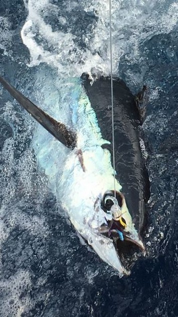 Bedankt Schipper Hafid Cavalier & Blue Marlin Sport Fishing Gran Canaria