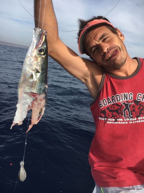 Mako......... Cavalier & Blue Marlin Sport Fishing Gran Canaria