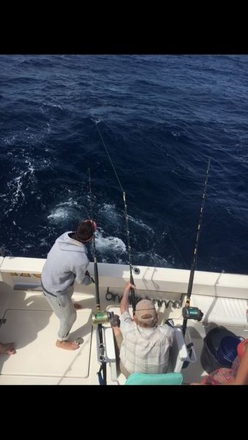 85 years old - Koos Groen, 85 years old Cavalier & Blue Marlin Sport Fishing Gran Canaria