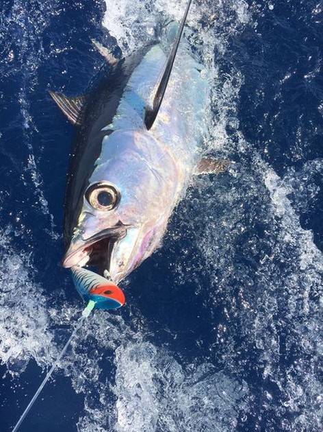 Tack till er alla Cavalier & Blue Marlin Sport Fishing Gran Canaria