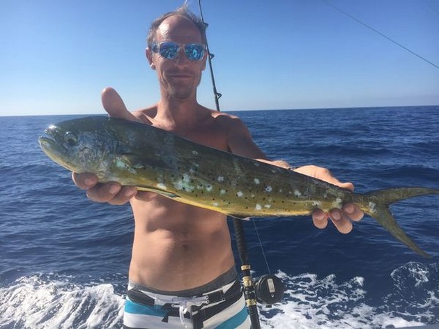 Dorado Cavalier & Blue Marlin Sport Fishing Gran Canaria