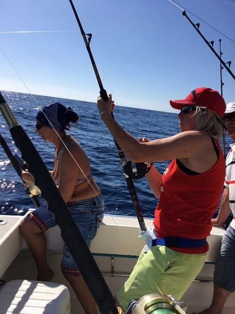 Hooked Up Cavalier & Blue Marlin Sport Fishing Gran Canaria