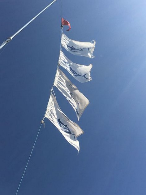 Congratulations Cavalier & Blue Marlin Sport Fishing Gran Canaria