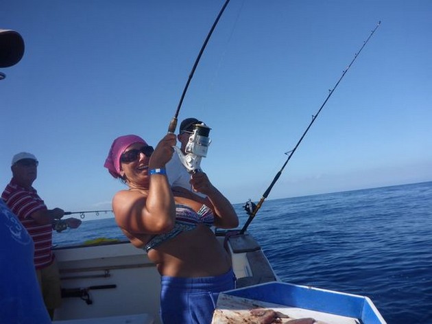 Hooked up Cavalier & Blue Marlin Sport Fishing Gran Canaria
