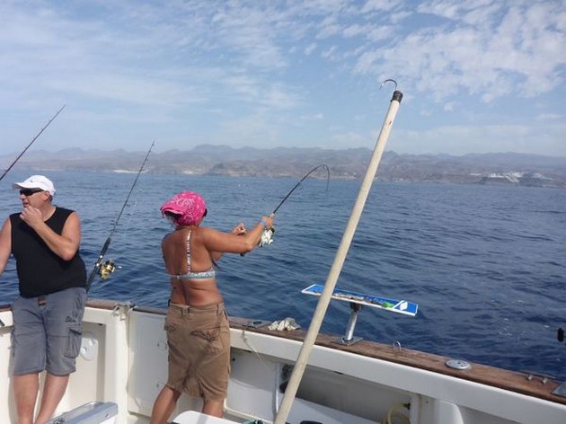 Hooked Up Cavalier & Blue Marlin Sport Fishing Gran Canaria