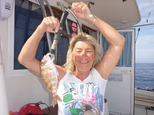 Spanish Seabream Cavalier & Blue Marlin Sport Fishing Gran Canaria