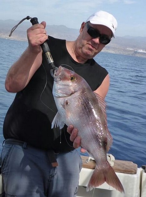 Red Snapper Cavalier & Blue Marlin Sport Fishing Gran Canaria