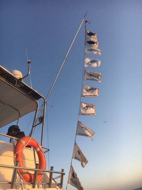 34 strejker - 25 Albacores - på båten Cavalier Cavalier & Blue Marlin Sport Fishing Gran Canaria