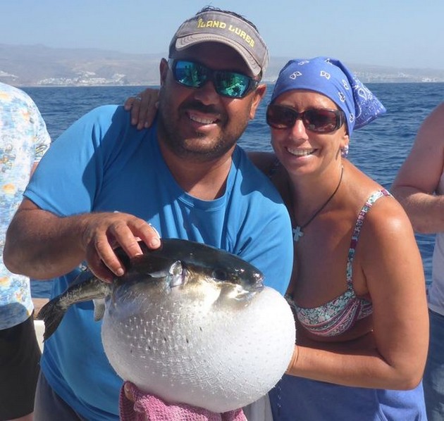 Puffer fish Cavalier & Blue Marlin Sport Fishing Gran Canaria