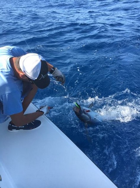 Release Me Cavalier & Blue Marlin Sport Fishing Gran Canaria