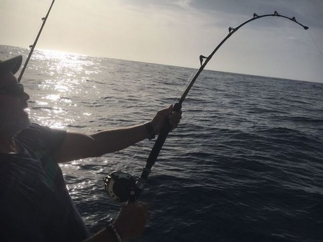  - Cavalier & Blue Marlin Sport Fishing Gran Canaria