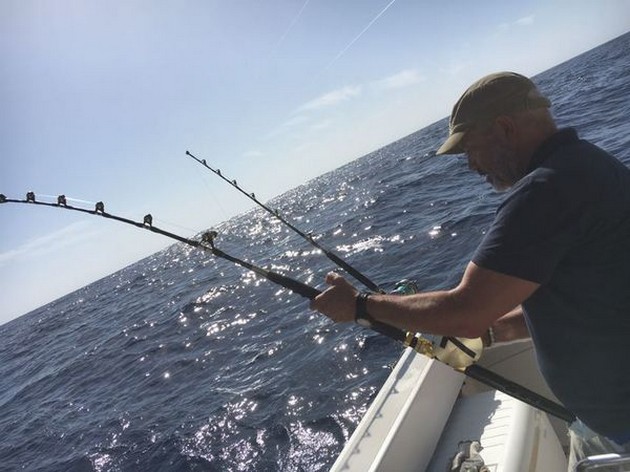 Hooked up Cavalier & Blue Marlin Sport Fishing Gran Canaria