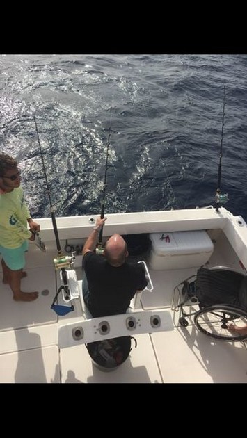Hooked Up Cavalier & Blue Marlin Sport Fishing Gran Canaria