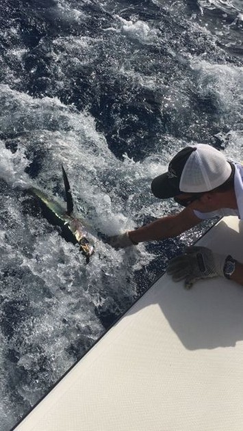 Release Me Cavalier & Blue Marlin Sport Fishing Gran Canaria
