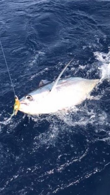 Albacore Tuna Cavalier & Blue Marlin Sport Fishing Gran Canaria