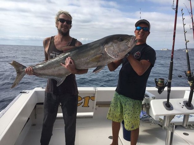38 kg Amberjack Cavalier & Blue Marlin Sport Fishing Gran Canaria