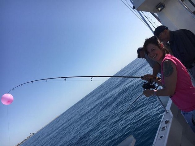 Hooked Up Cavalier & Blue Marlin Sport Fishing Gran Canaria